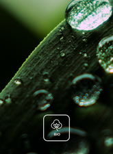 | Sease